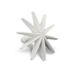 White Star For Rollover Insert C-901